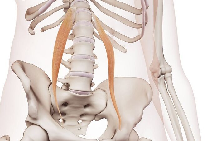 Osteochondroza kręgosłupa w obszarze lędźwiowym Esencja choroby